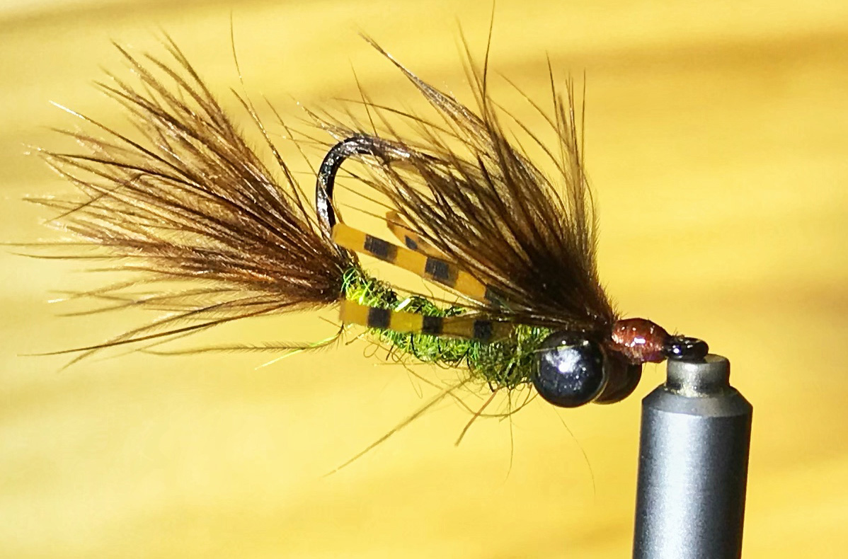 Austin Fly Fishers Association Rio Getter