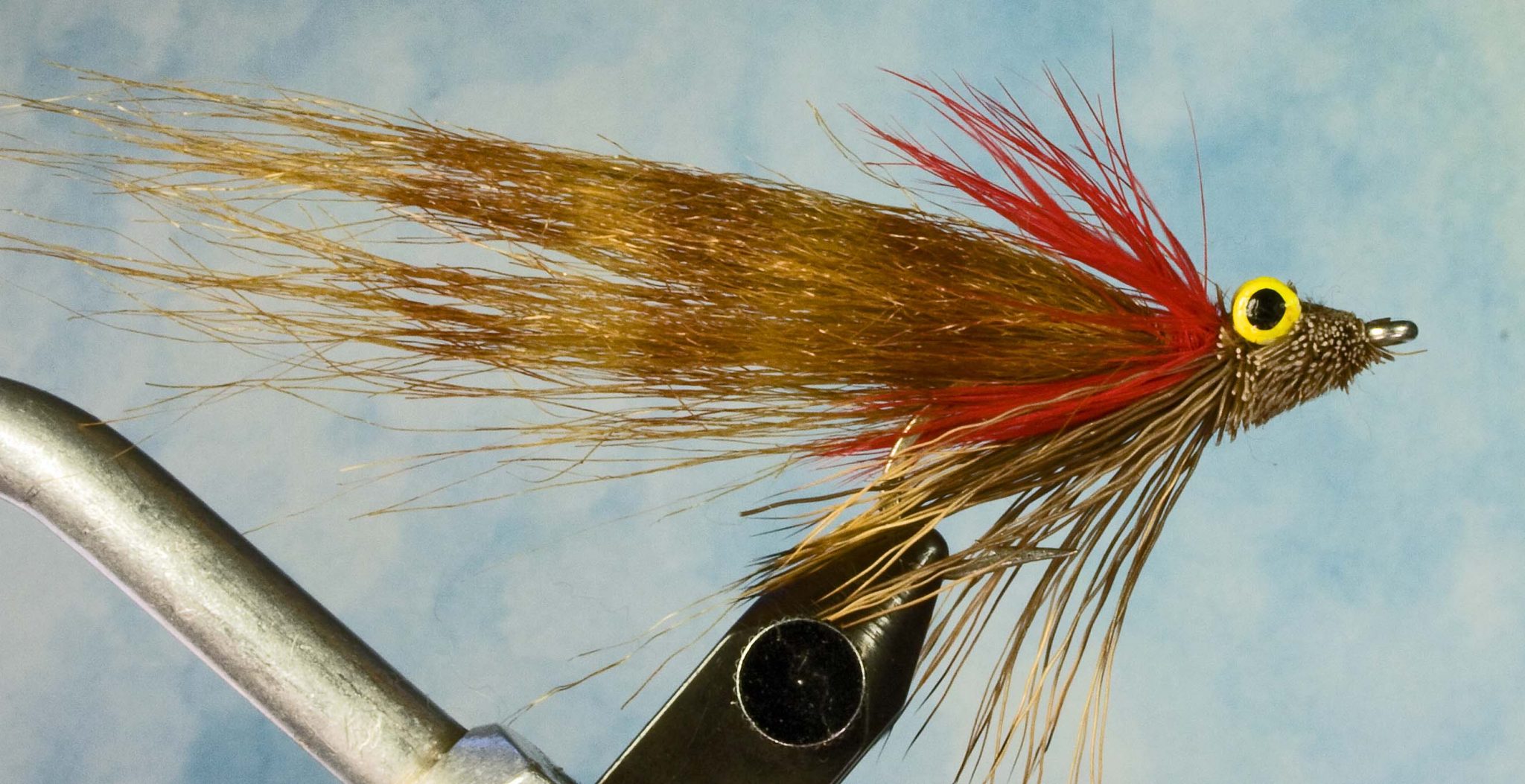 Austin Fly Fishers Association