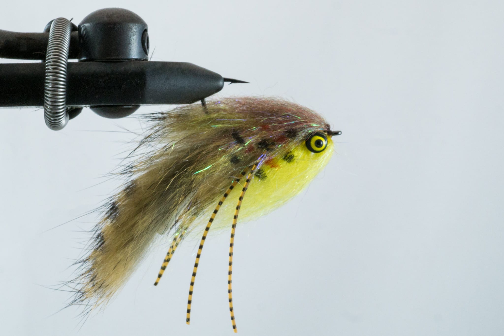 Austin Fly Fishers Association