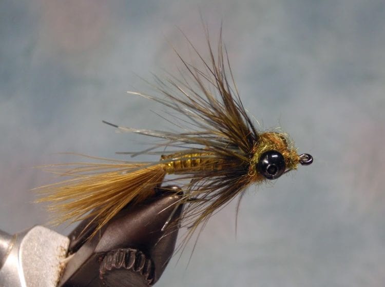 Austin Fly Fishers Association