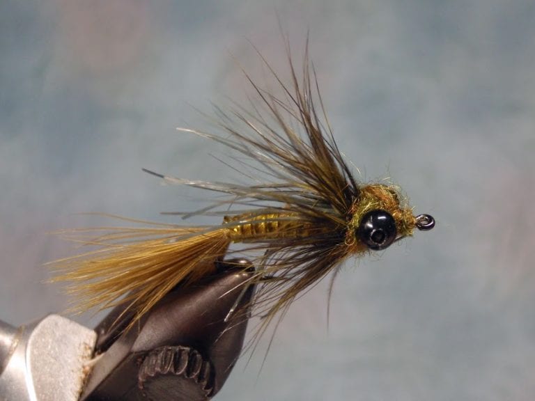 Austin Fly Fishers Association